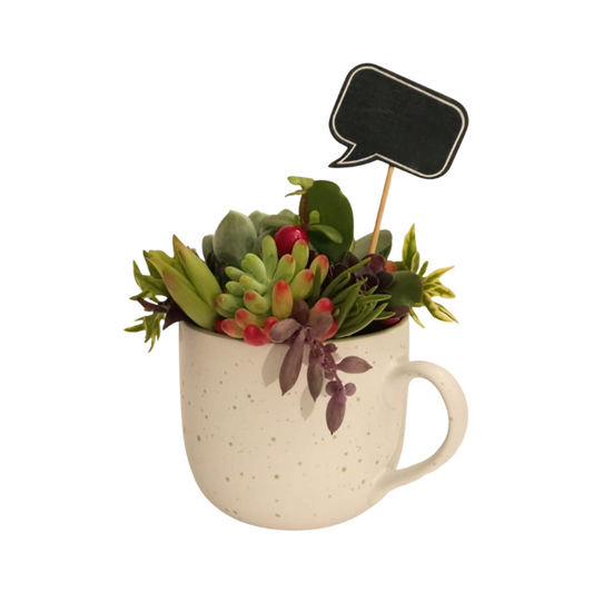 Succulent Appreciation Mug