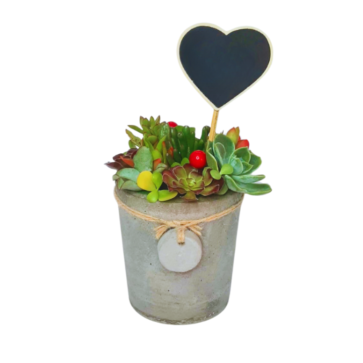 Succulent Bouquet Appreciation Pot