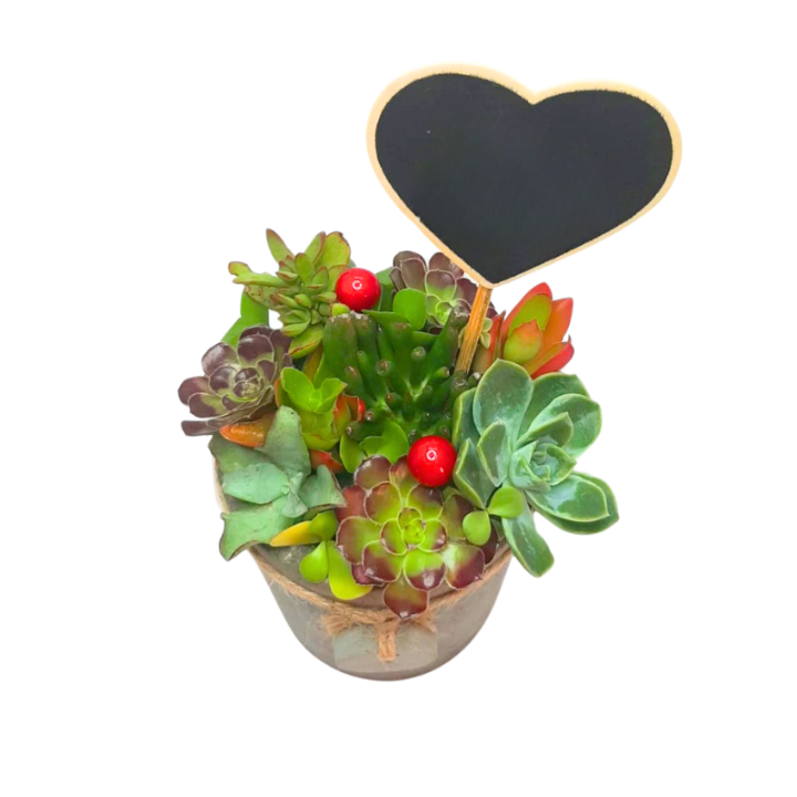 Succulent Bouquet Appreciation Pot