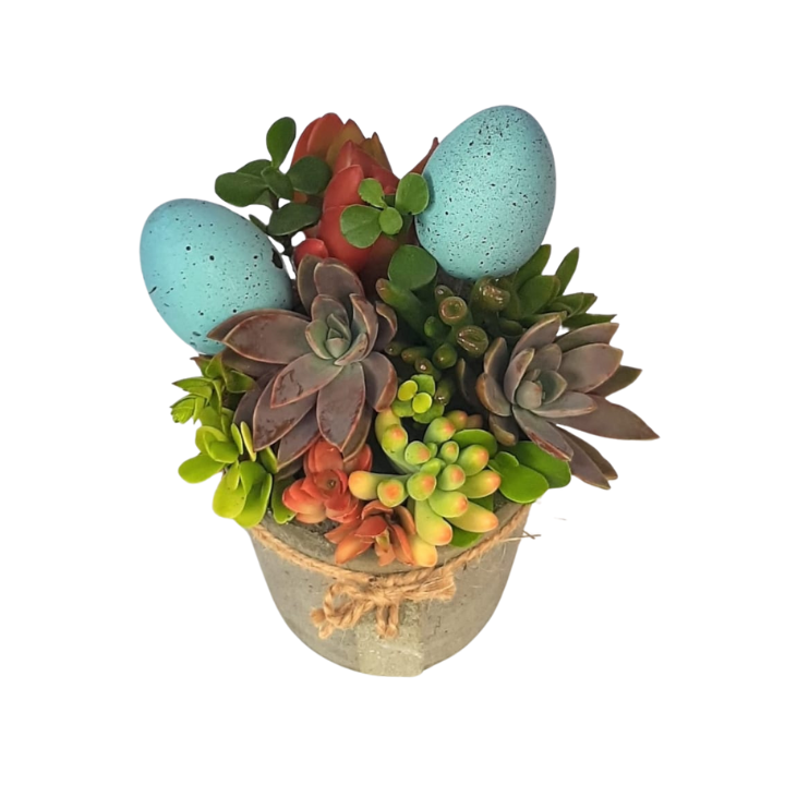 Succulent Bouquet Easter Pot