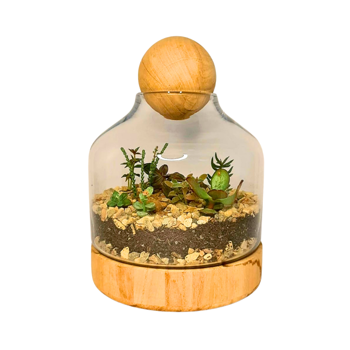 Succulent Terrarium