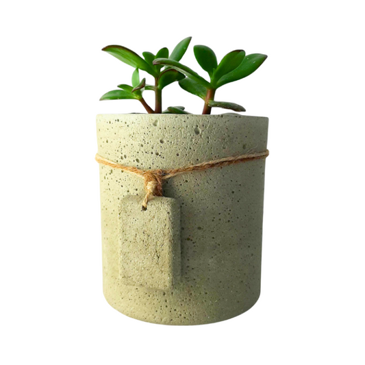 Money Tree Tag Pot