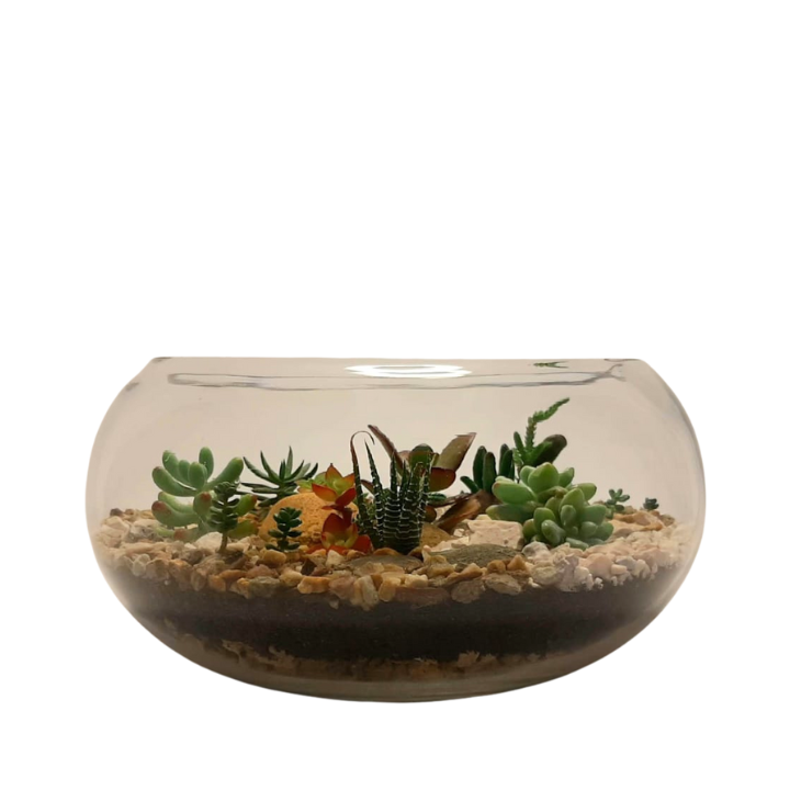 Succulent Terrarium Bowl